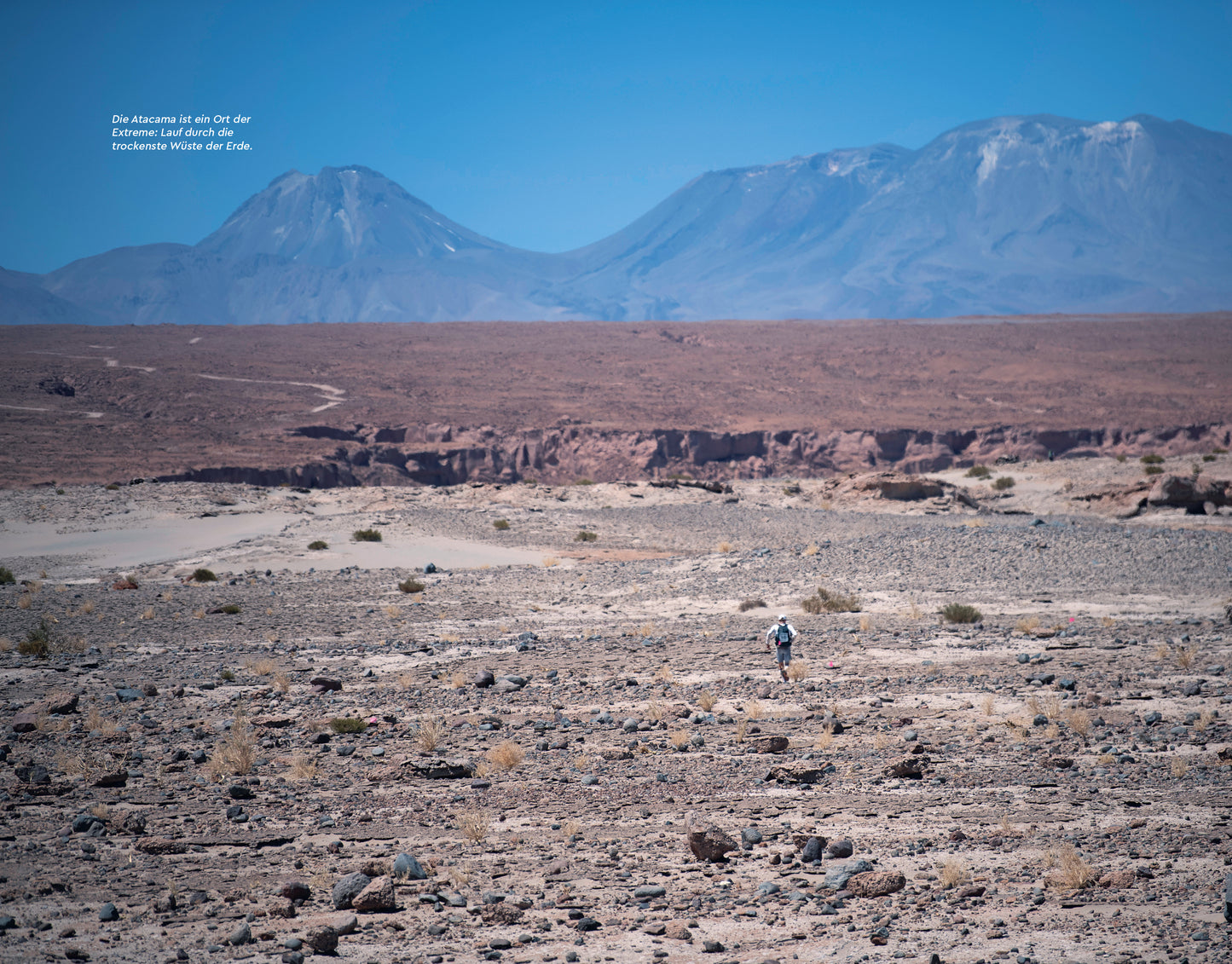 Michele Ufer: Das Unmögliche machen: Die schwierigsten Ultramarathons der Welt, ein Schlaganfall und mein Weg zurück ins Leben